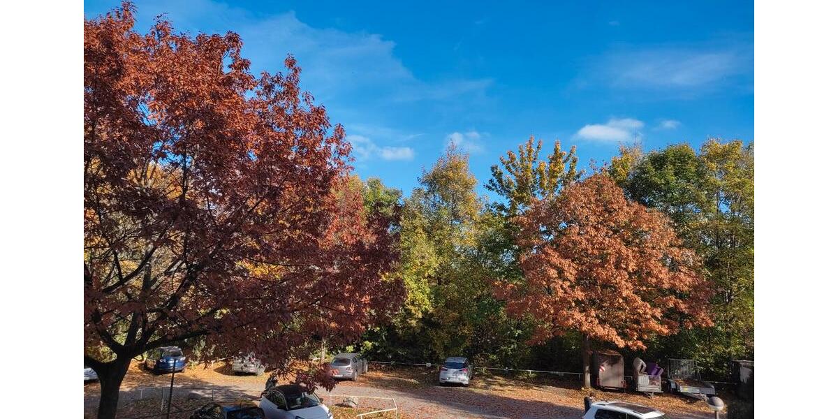 Etagenwohnung Regensburg Galgenberg - 1 Zimmer, 24 m&sup2;, 110.000&euro; | Angebot:26957645