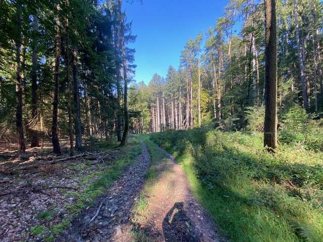 Grundstück in Pentling Matting 132.000 € 15433 m²