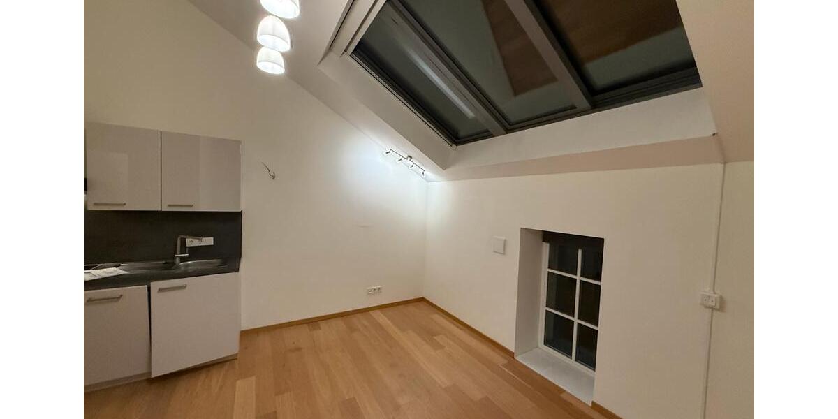 Stylisches 1-Zimmer Apartment 1 zimmer