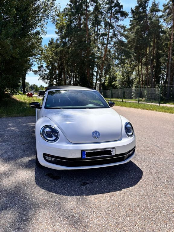 Beetle