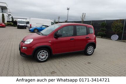 Fiat Panda 65.000 km 9.990 &euro; Abensberg 93326