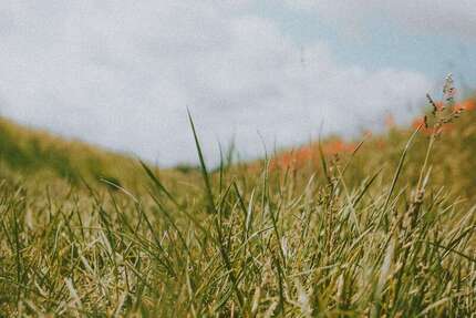 Grundstück Pentling - 390.000&euro; | Angebot:25757677