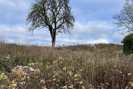 Im Grünen zuhause - in der Stadt in kurzer Zeit zimmer