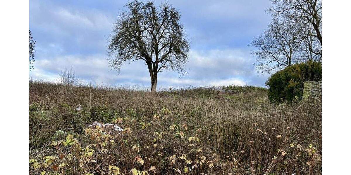 Im Grünen zuhause - in der Stadt in kurzer Zeit zimmer