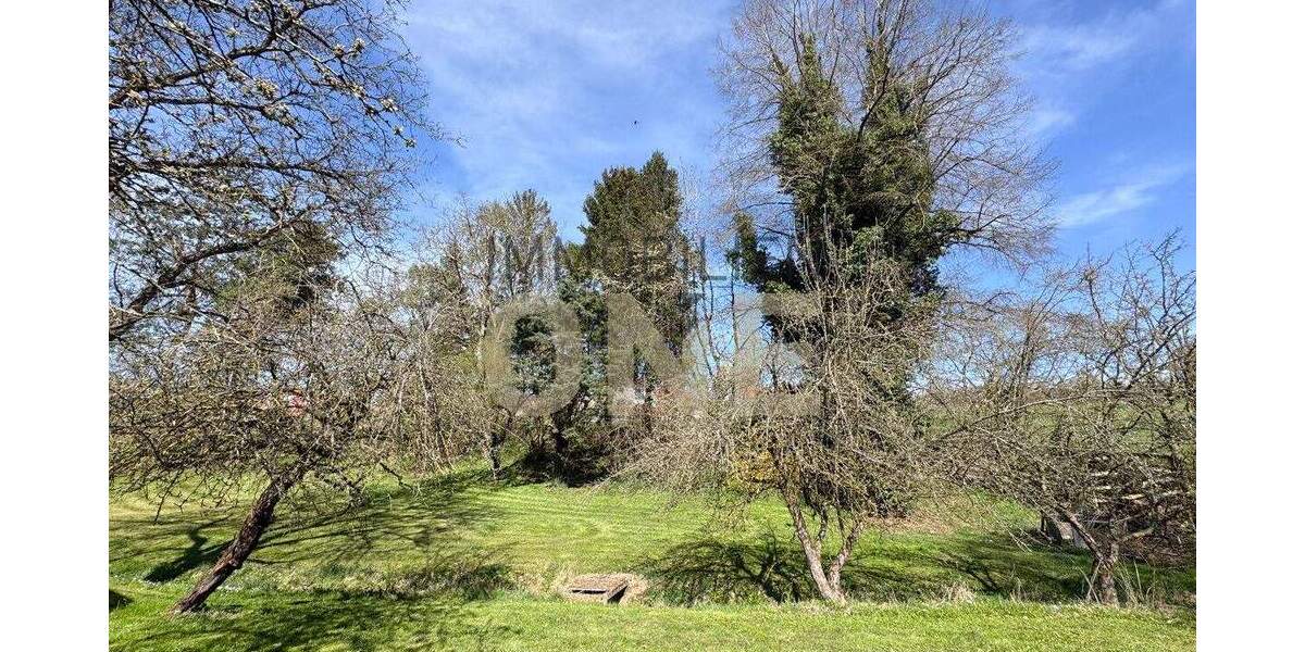 Grundstück Bernhardswald Hackenberg - 250.000&euro; | Angebot:25689785