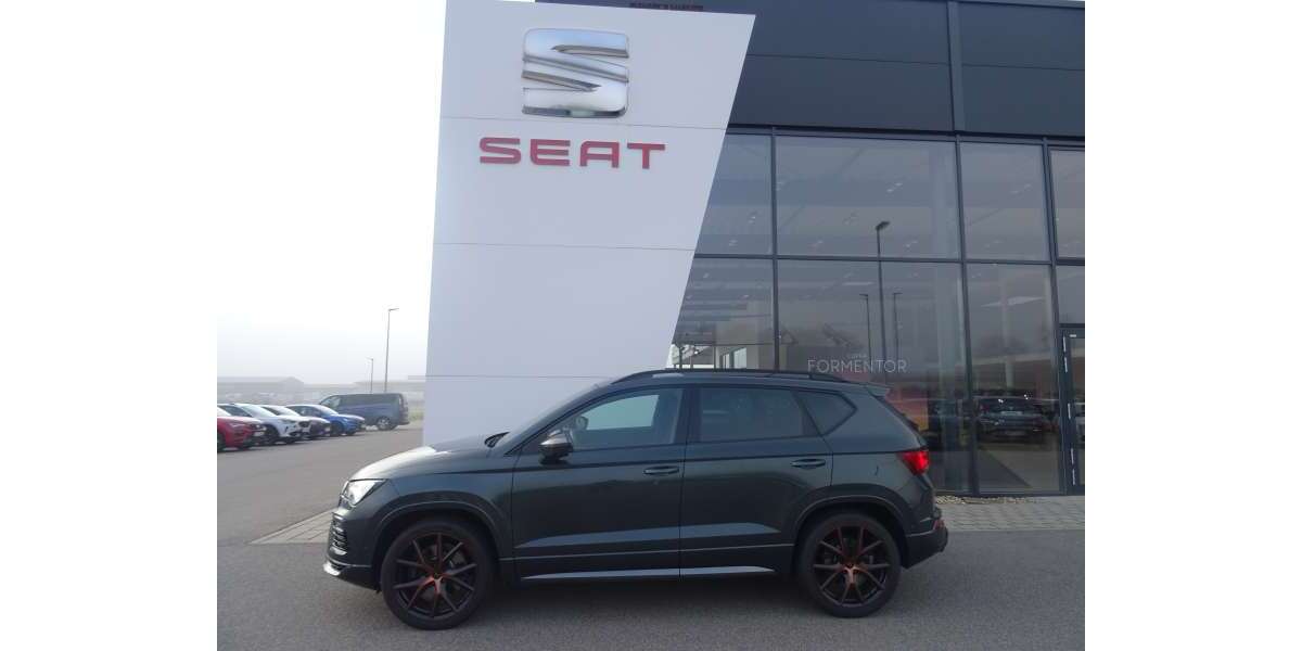 Cupra Ateca 94.400 km 31.000 &euro; Pfatter 93102