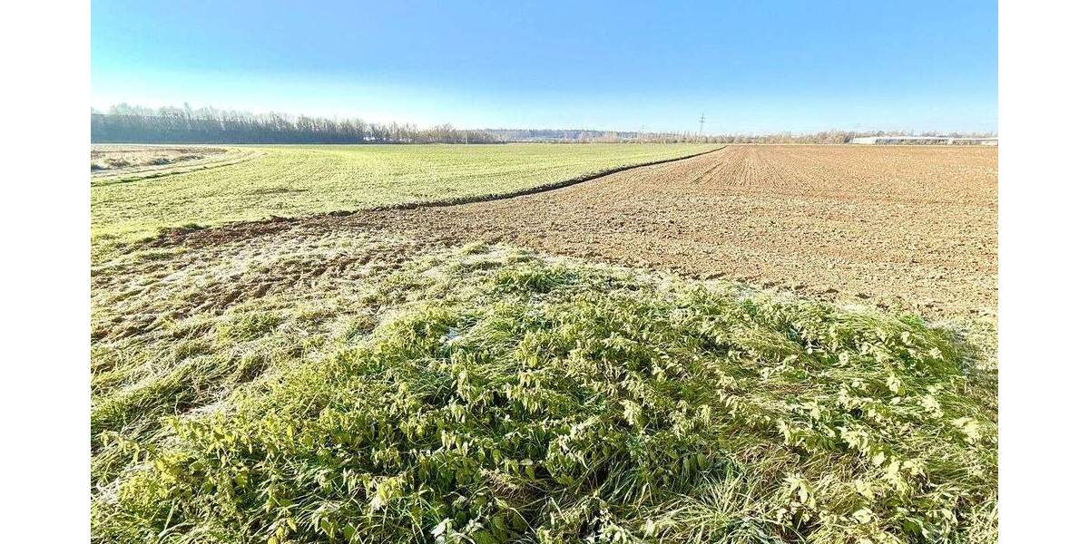 Mehrfamilienhaus, Wohnhaus Regensburg Burgweinting-Harting - 1 Zimmer, 289 m&sup2;, 779.000&euro; | Angebot:25702651