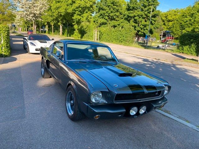 Mustang