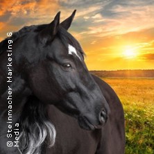 OSTWIND live - Zusammen sind wir frei 05.04.2026 Dultplatz am Europakanal