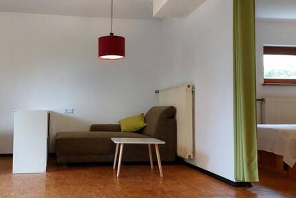 1,5 Zimmer Appt., möbliert ab Februar 2026 1 zimmer