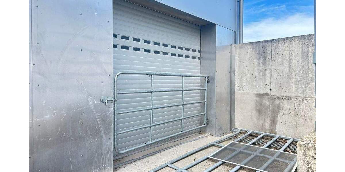 Metzgerei mit Schlachthaus, Laden und riesiger Wohnung zimmer