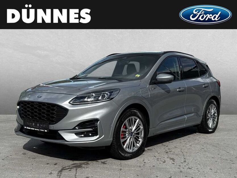 Kuga