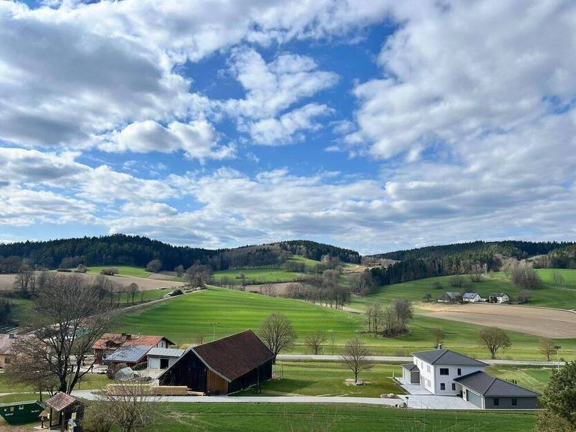 2-Zimmer-Loft-Wohnung mit herrlichem Ausblick ins Grüne!!!