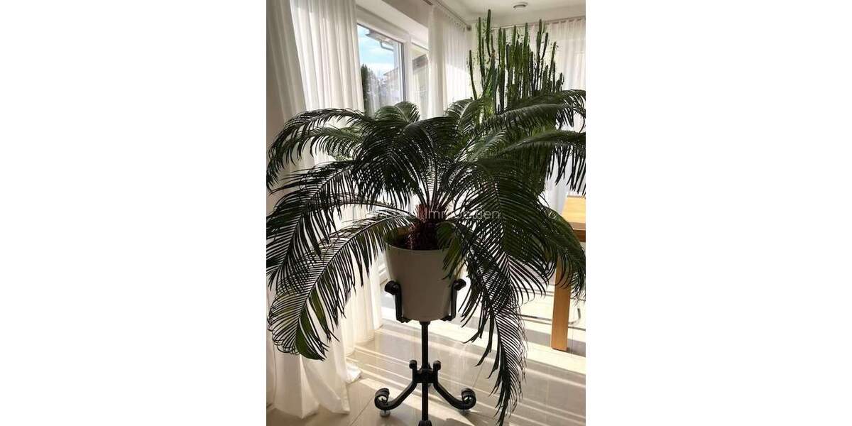 Einfamilienhaus Barbing - 5 Zimmer, 150 m&sup2;, 859.000&euro; | Angebot:25768244
