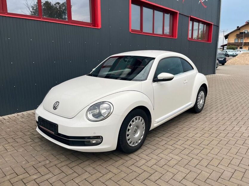 Beetle