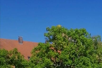 Wohnung Regensburg Kumpfmühl - 1 Zimmer, 31 m&sup2;, 550&euro; | Angebot:26343074