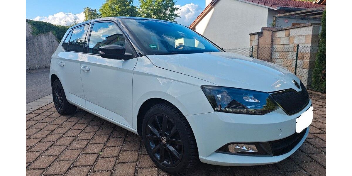 Skoda Fabia 68.000 km 8.700 &euro; Pfatter 93102