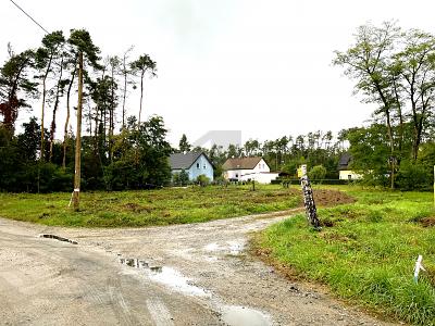 FREIRAUM FÜR IDEEN  BAUEN OHNE VORGABEN