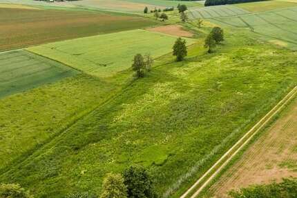 Grundstück in Schierling 130.000 € 21127 m² zimmer