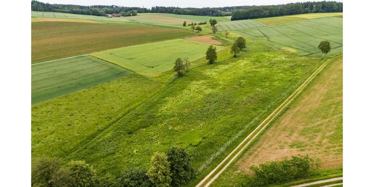 Grundstück in Schierling 130.000 € 21127 m² zimmer