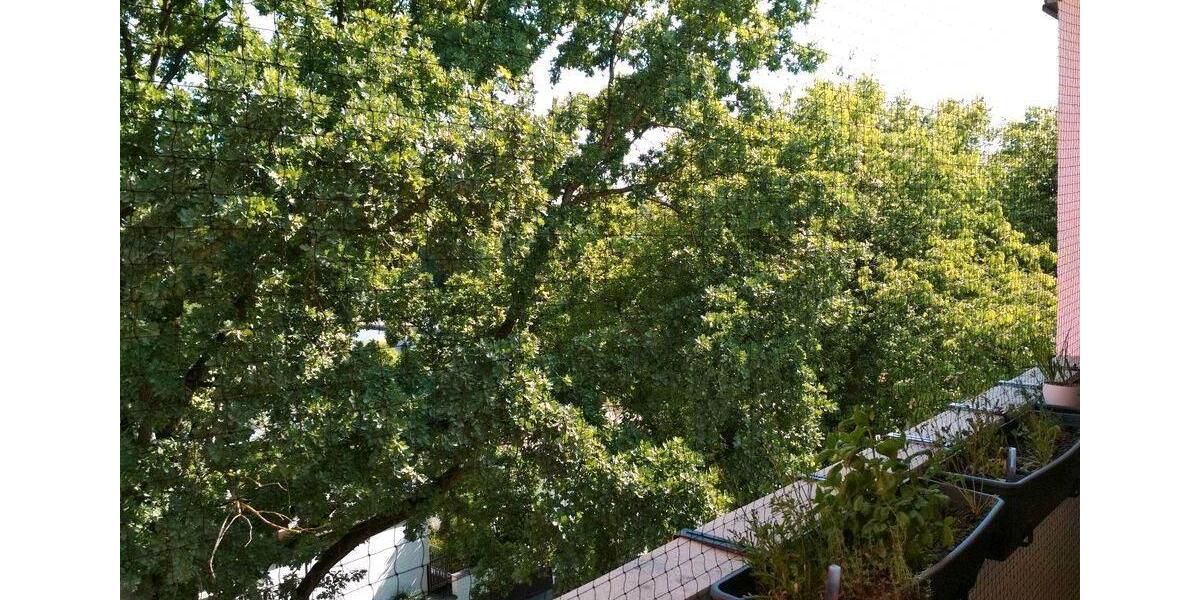Etagenwohnung Regensburg Galgenberg - 2 Zimmer, 59 m&sup2;, 670&euro; | Angebot:26411255