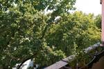 Etagenwohnung Regensburg Galgenberg - 2 Zimmer, 59 m&sup2;, 670&euro; | Angebot:26411255