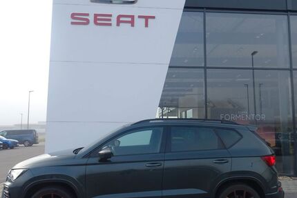 Cupra Ateca 94.600 km 29.999 &euro; Pfatter 93102