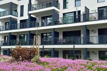 Wohnung Burglengenfeld Augustenhof - 2 Zimmer, 52 m&sup2;, 266.900&euro; | Angebot:24498700