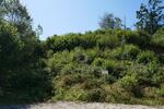 RUHE PUR! NATURPARADIES AM ORTSRAND