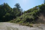 INVESTOREN: BAU EINES MEHRFAMILIENHAUS ODER 2 DHH - Grundstück Regenstauf | Angebot:26487960