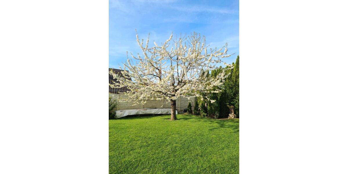 Einfamilienhaus Regensburg Gallingkofen - 599.999&euro; | Angebot:27219090