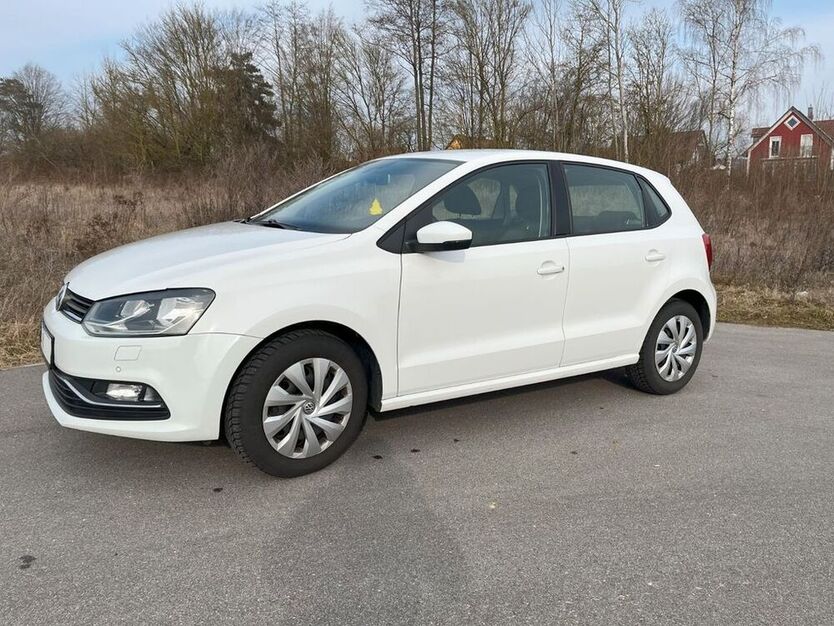 Polo