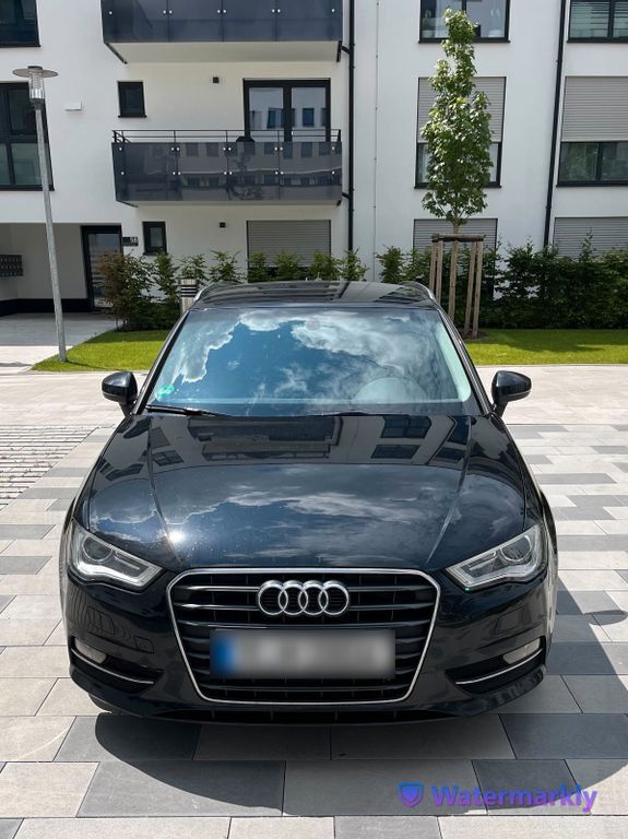 A3