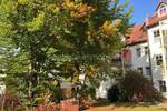 Etagenwohnung Regensburg Kumpfmühl-Ziegetsdorf-Neuprüll - 2 Zimmer, 55 m&sup2;, 319.000&euro; | Angebot:26851271