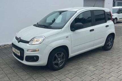 Fiat Panda 49.000 km 9.900 € Bad Gögging 93333