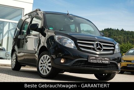 Mercedes-Benz Citan 106.600 km 11.450 &euro; Wörth a.d. Donau, bei Regensburg 93086