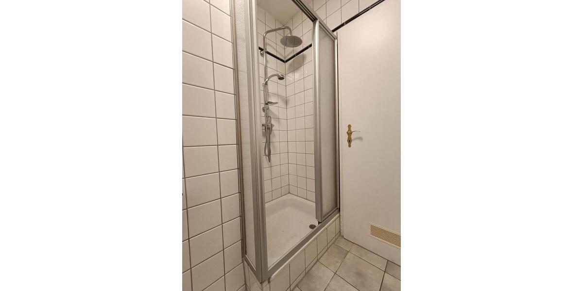 renoviertes 1-Zimmer-Appartement - möbliert 1 zimmer