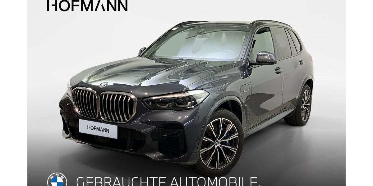 BMW X5 77.100 km 51.404 &euro; Regensburg 93055