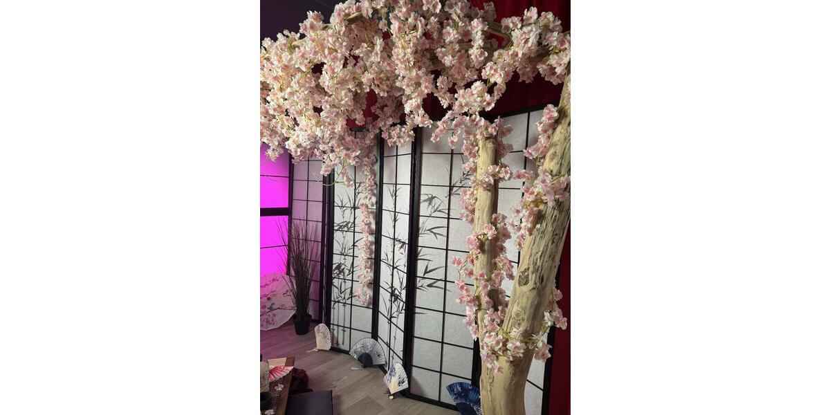 Mietstudio für Foto & Video in Burglengenfeld – 50 m² + Equipment zimmer