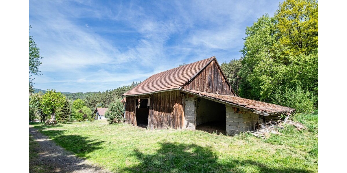 Charmantes Zweifamilienhaus mit großem Grundstück, Waldanteil und viel Potenzial - Zweifamilienhaus Zell | Angebot:26618521