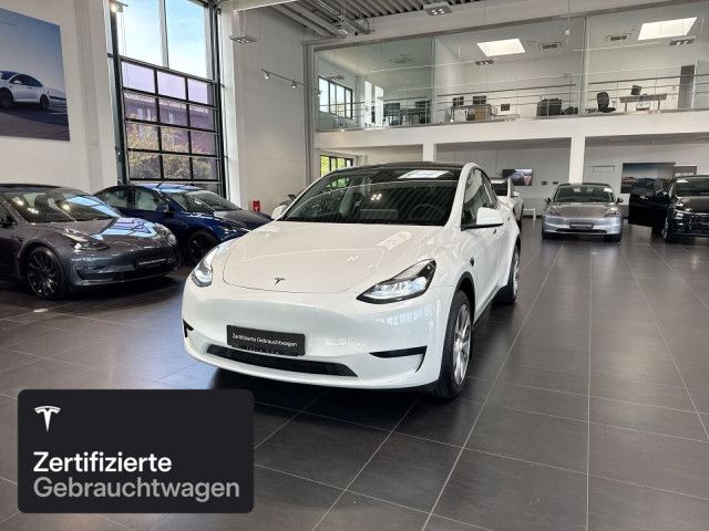 Model Y