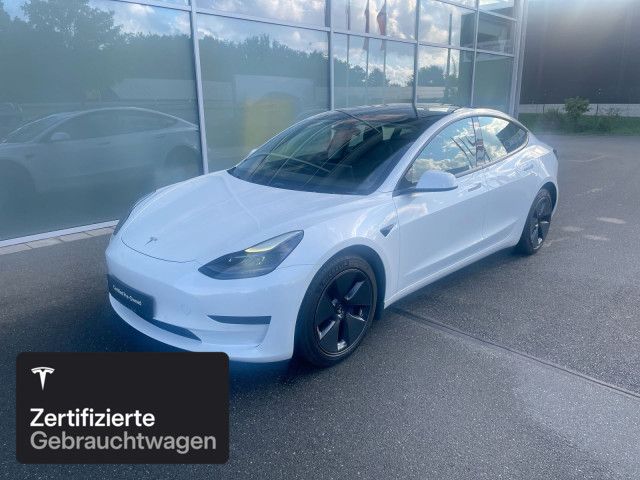 Model 3