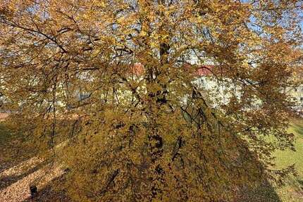 Wohnung zum Kaufen in Regensburg 270.000 € 64.35 m² 2 zimmer