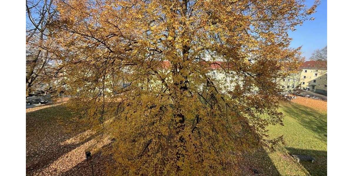 Wohnung zum Kaufen in Regensburg 270.000 € 64.35 m² 2 zimmer