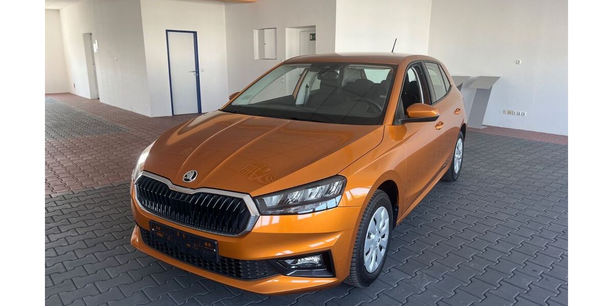 Skoda Fabia 41.690 km 14.190 &euro; Regensburg 93057