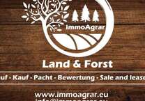 Grundstück in Aufhausen 82.000 € 8200 m²