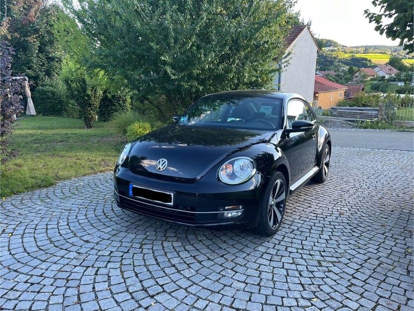 Beetle