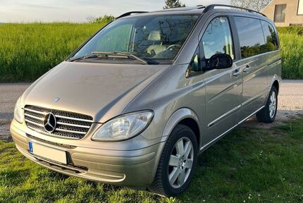 Mercedes Viano
