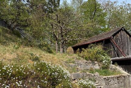 Haus Burglengenfeld - 6 Zimmer, 90 m&sup2;, 142.000&euro; | Angebot:26465305