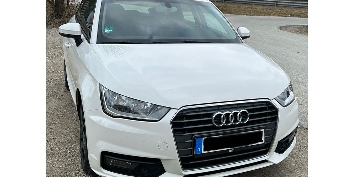 Audi A1 120.000 km 11.599 &euro; Painten 93351